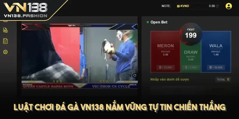Luật chơi đá gà VN138 nắm vững tự tin chiến thắng
