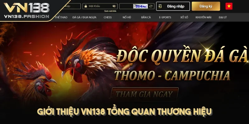 Giới thiệu VN138 tổng quan thương hiệu
