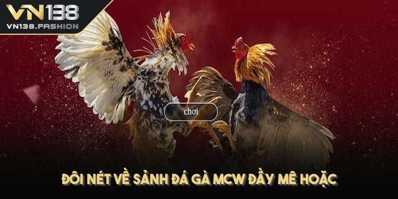 Đôi nét về sảnh đá gà MCW đầy mê hoặc