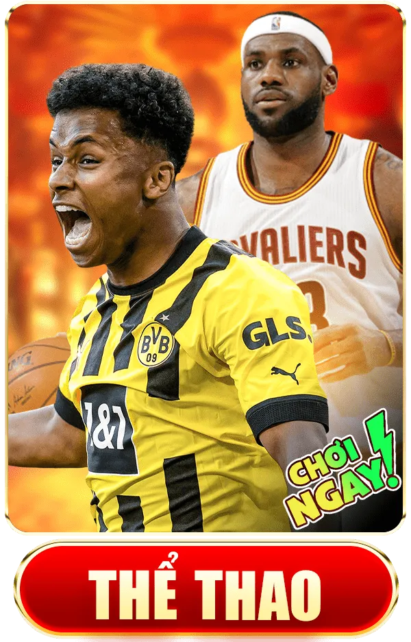 hình thể thao vn138