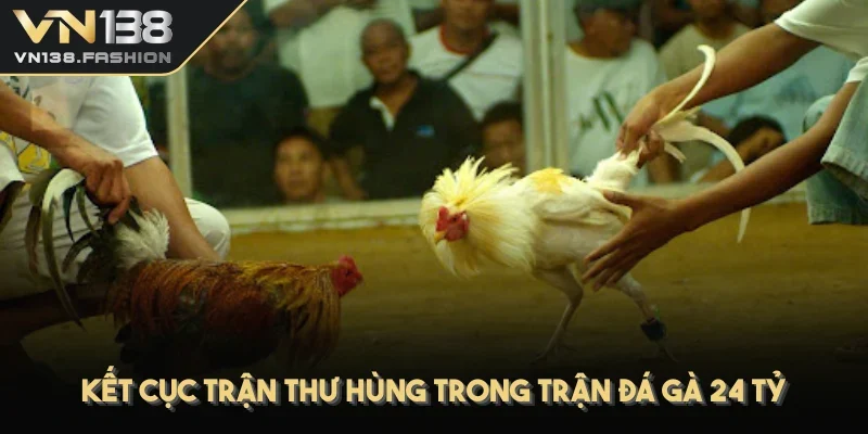 Kết cục trận thư hùng trong trận đá gà 24 tỷ