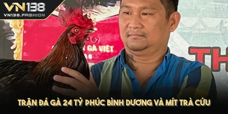 Trận đá gà 24 tỷ  Phúc Bình Dương và Mít Trà Cứu