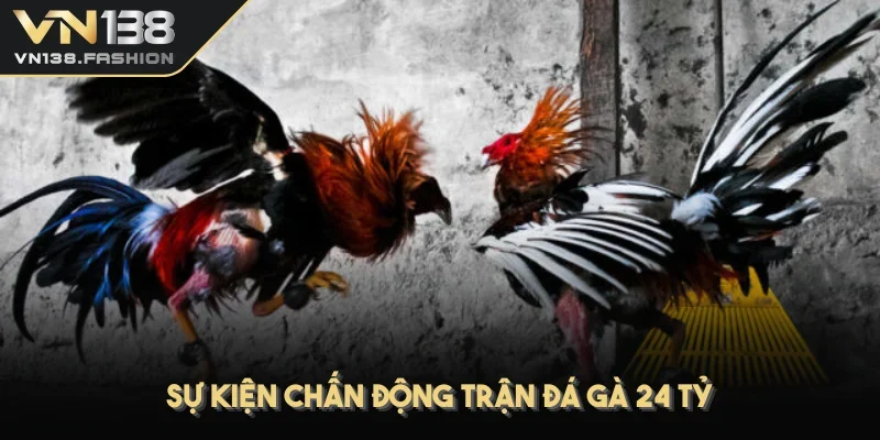 Sự kiện chấn động trận đá gà 24 tỷ